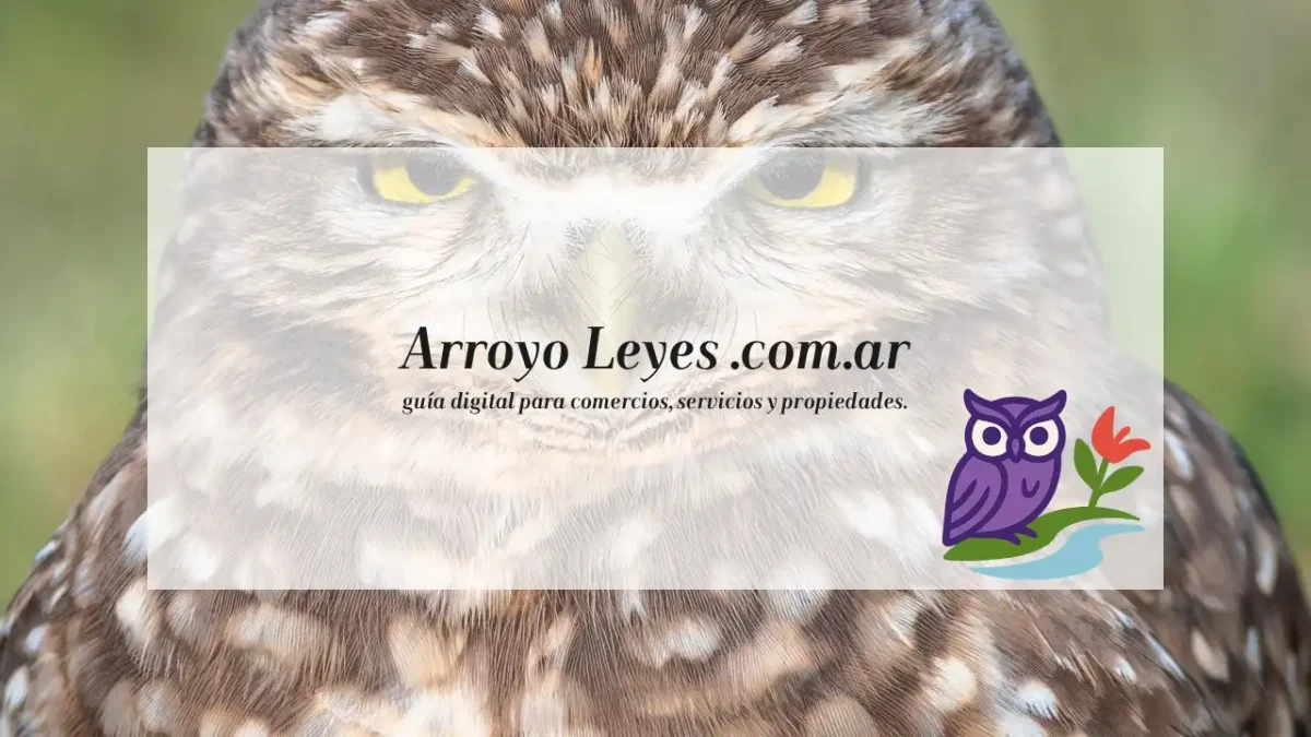 Muy pronto la guía digital de arroyo leyes